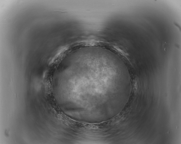 X0000103251446200809041058