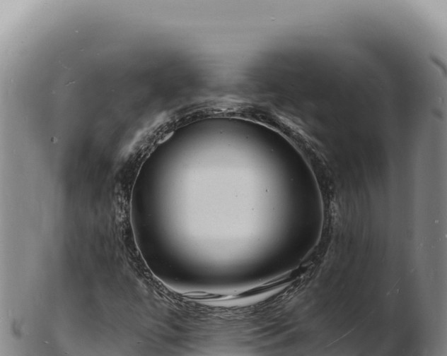X0000103251447200809041058