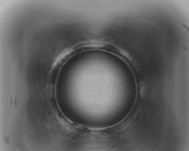 X0000103251448200809041058