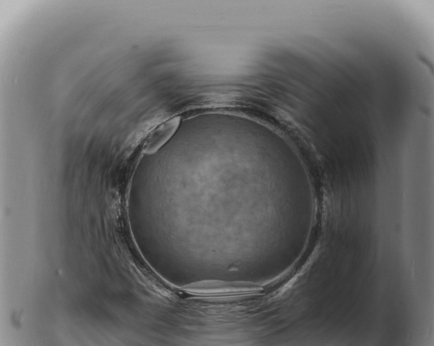 X0000103251449200809041058