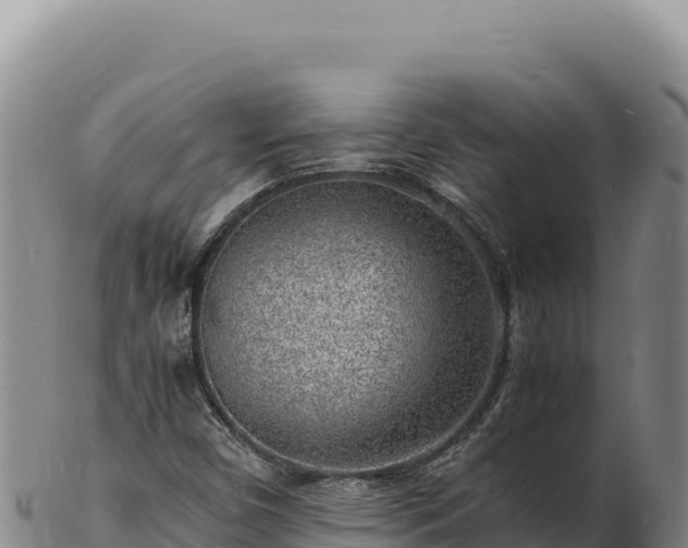 X0000103251450200809041058