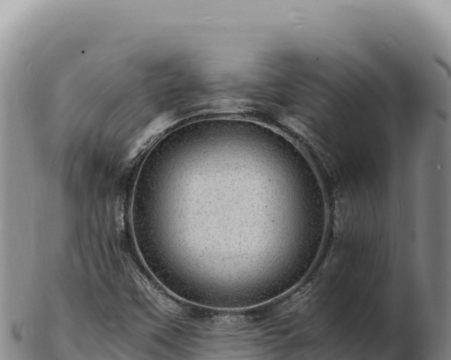 X0000103251451200809041058