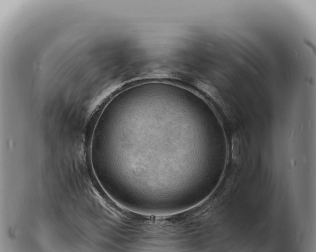 X0000103251452200809041058