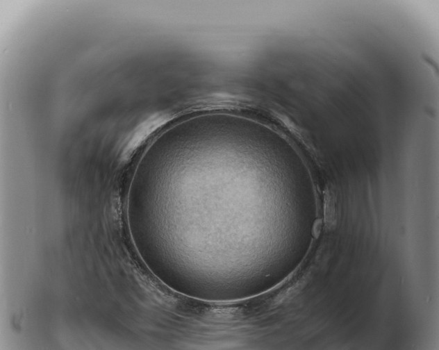 X0000103251453200809041058