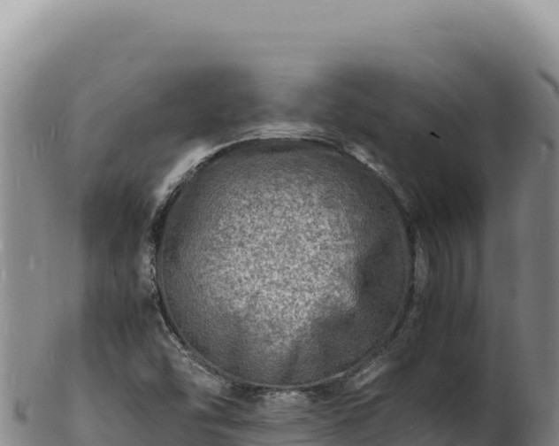 X0000103251454200809041058