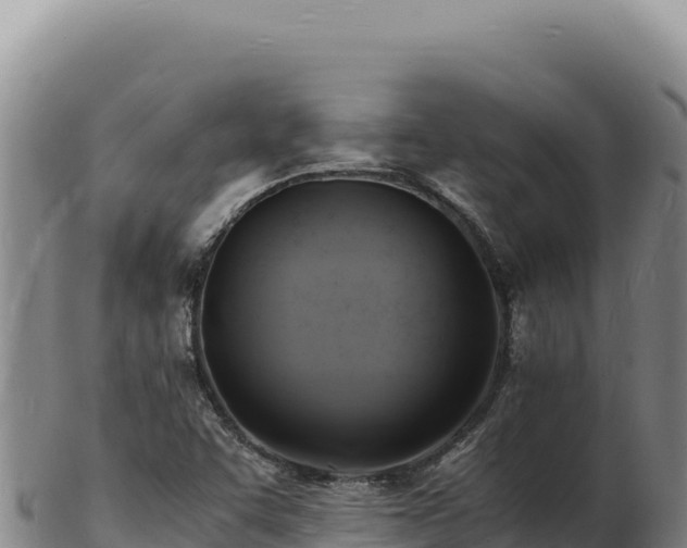 X0000103251455200809041058