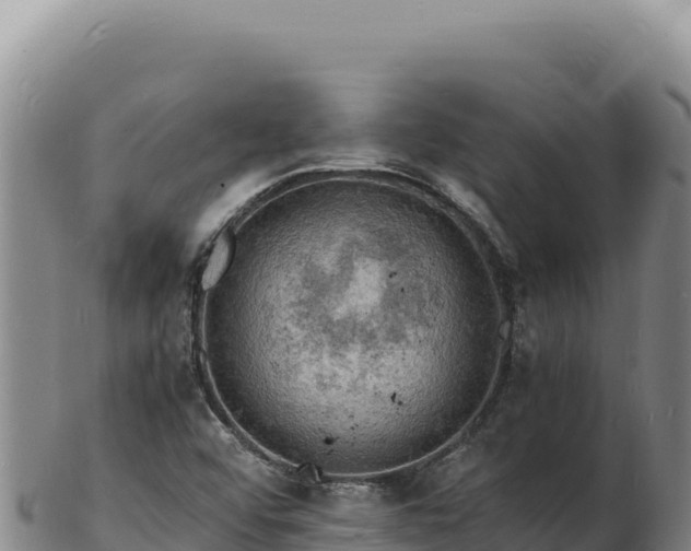 X0000103251456200809041058