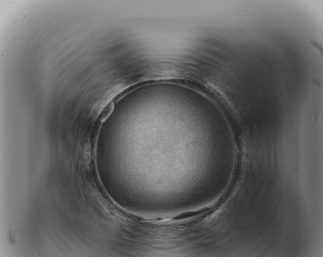 X0000103251457200809041058