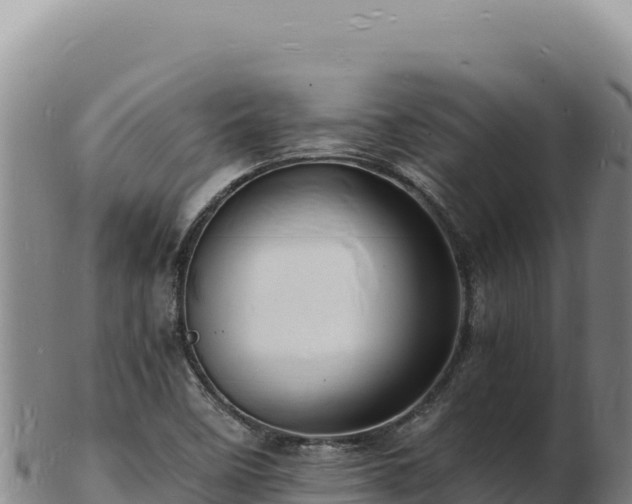 X0000103251458200809041058