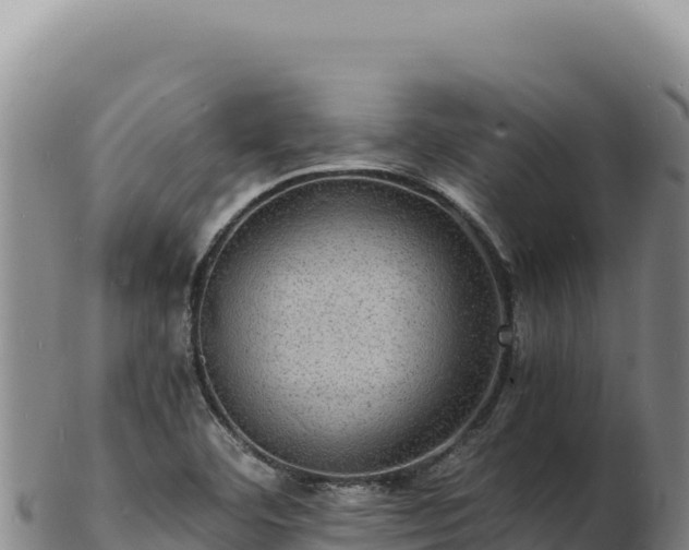 X0000103251460200809041058