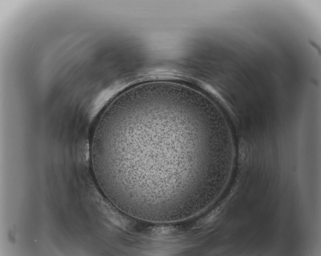 X0000103251461200809041058