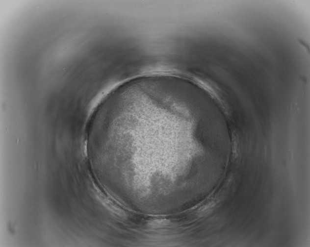 X0000103251462200809041058
