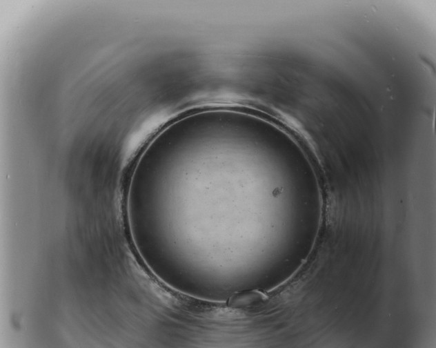 X0000103251464200809041058