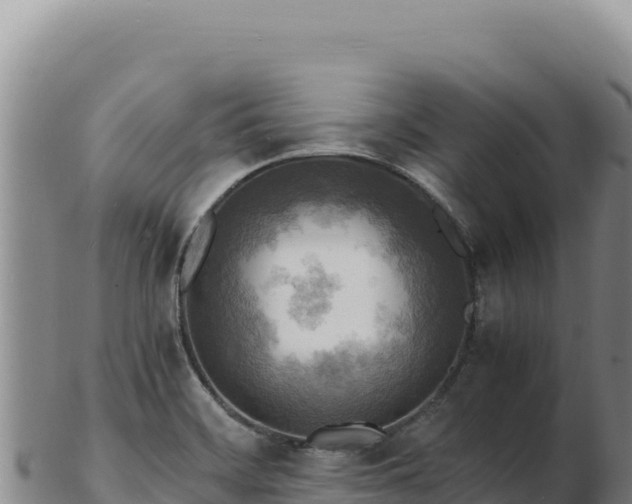 X0000103251468200809041058