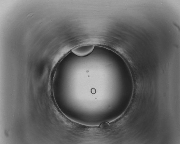 X0000103251469200809041058