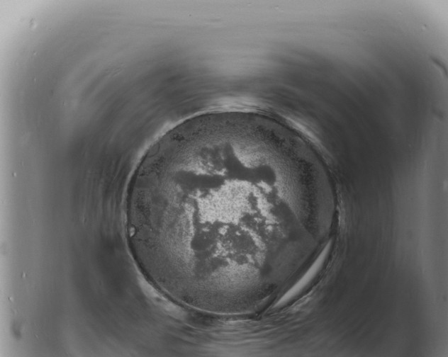 X0000103251471200809041058