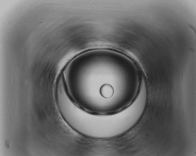X0000103251472200809041058