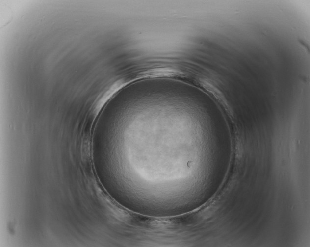 X0000103251473200809041058