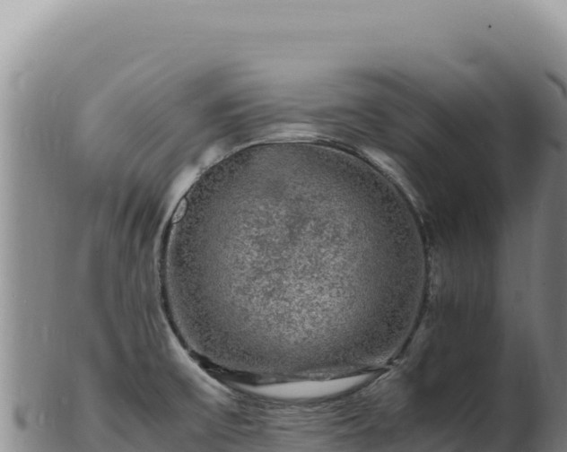 X0000103251475200809041058