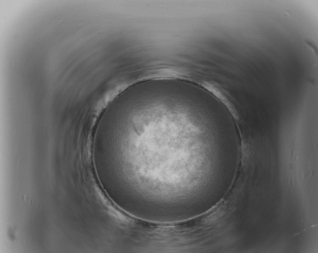 X0000103251477200809041058