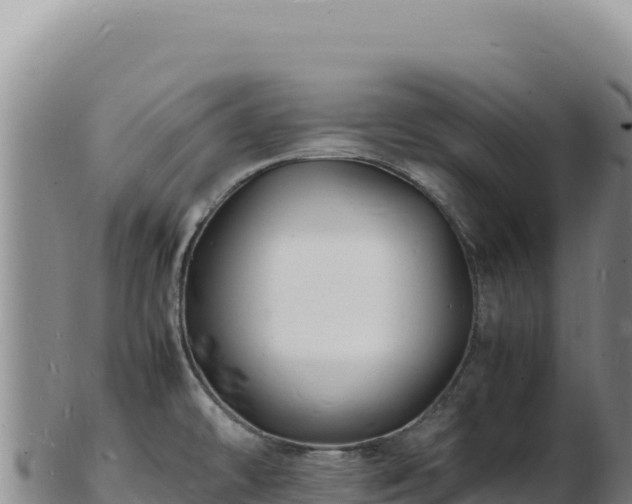 X0000103251478200809041058