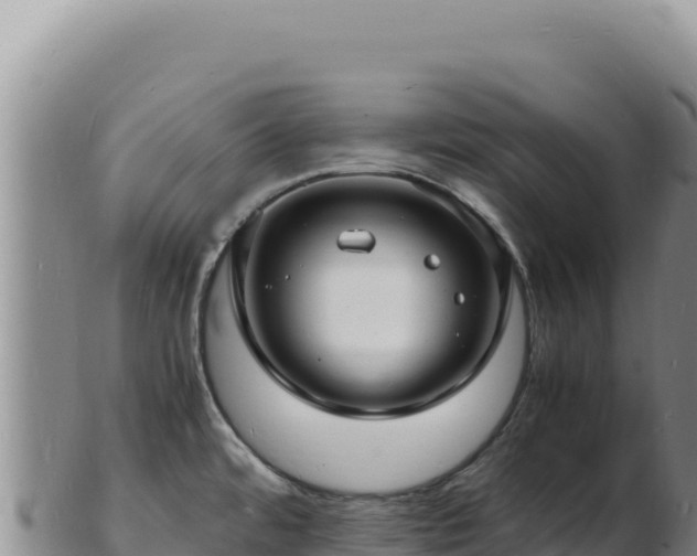 X0000103251480200809041058