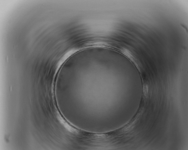 X0000103251482200809041058