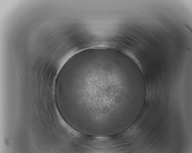 X0000103251483200809041058
