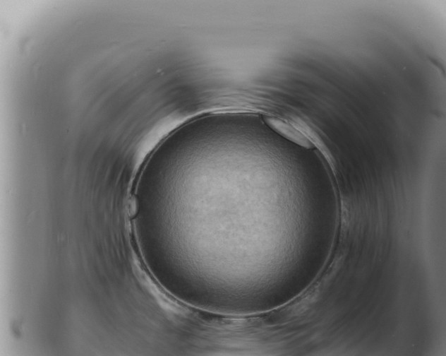 X0000103251485200809041058