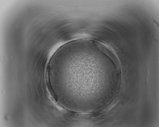 X0000103251488200809041058