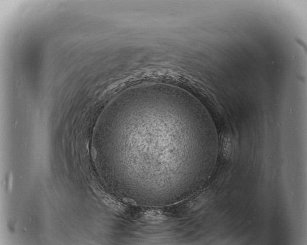 X0000103251489200809041057