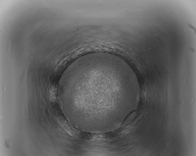 X0000103251490200809041057