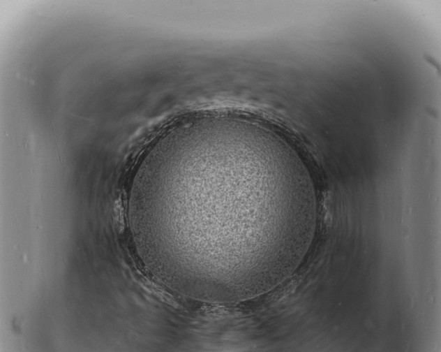 X0000103251493200809041057