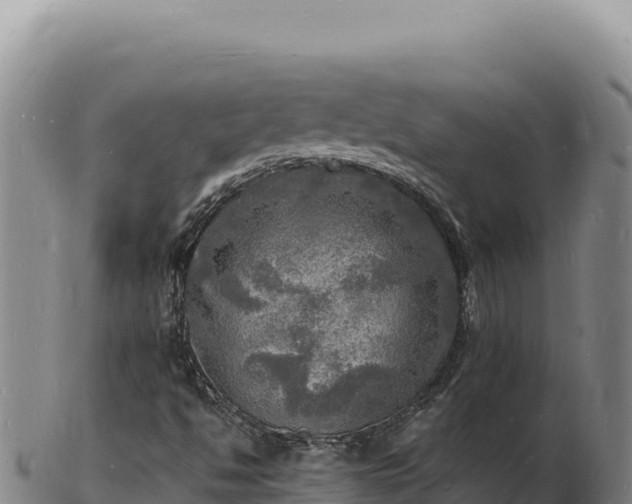 X0000103251494200809041057