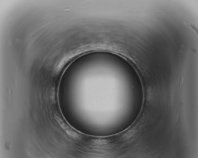 X0000103251499200809041057