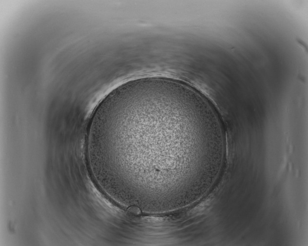 X0000103251500200809041057