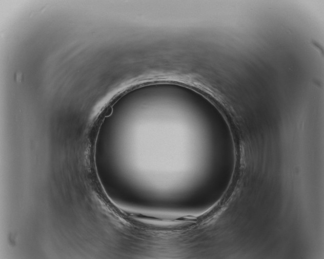 X0000103251502200809041057