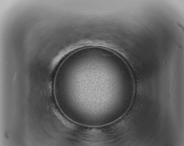X0000103251503200809041057