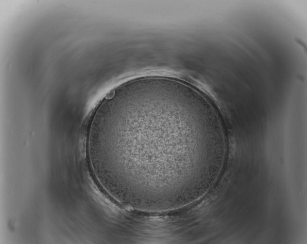 X0000103251504200809041057