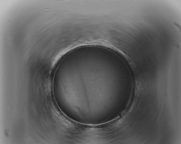 X0000103251506200809041057