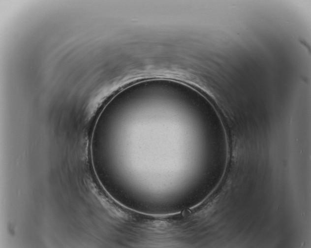 X0000103251507200809041057