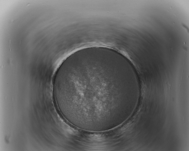 X0000103251508200809041057