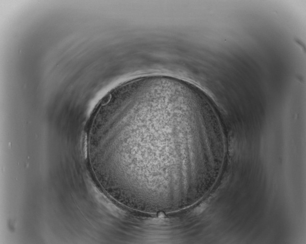 X0000103251510200809041057