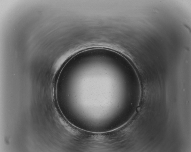 X0000103251511200809041057