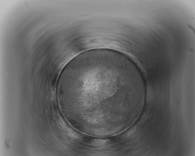 X0000103251513200809041057