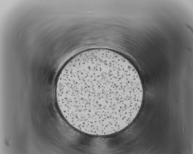 X0000103251514200809041057