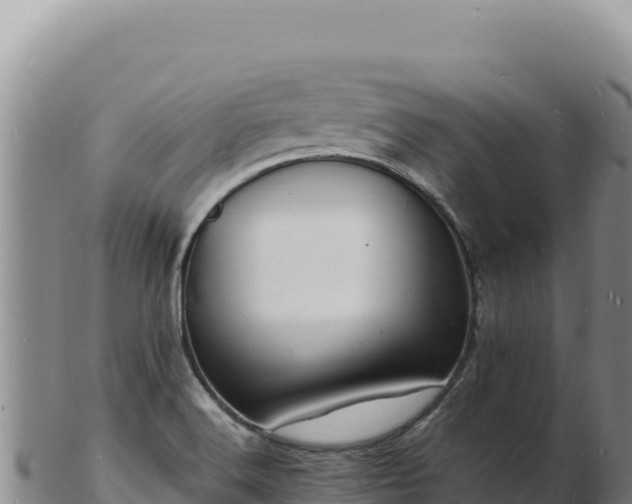 X0000103251516200809041057