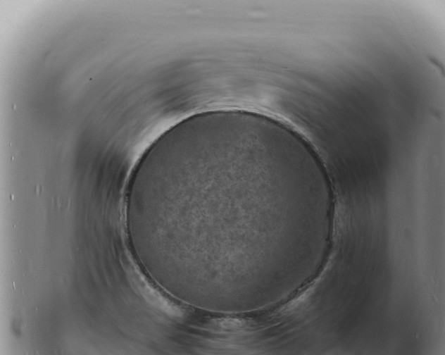 X0000103251517200809041057