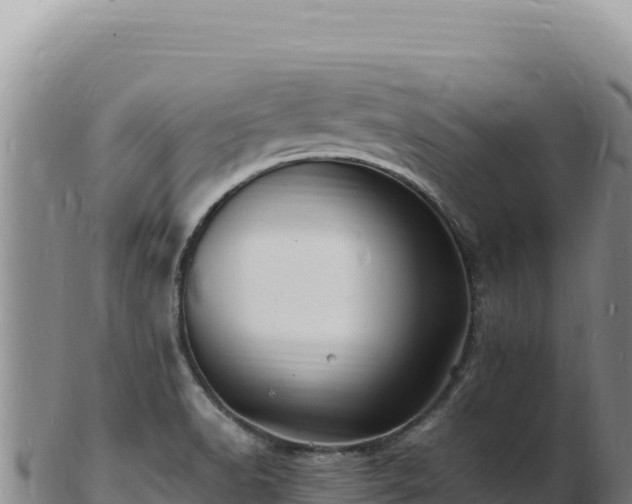 X0000103251518200809041057