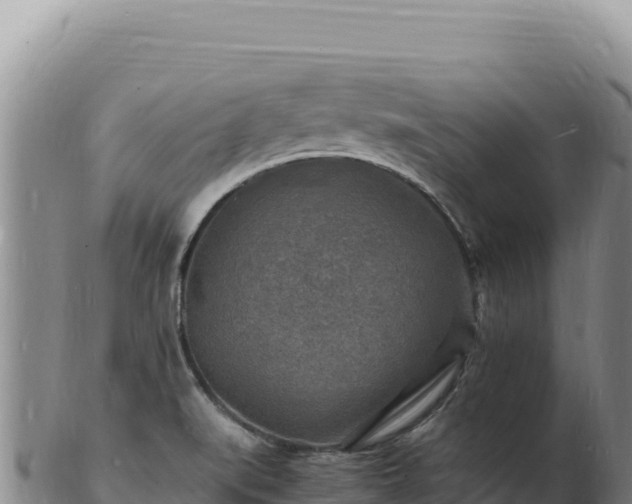 X0000103251519200809041057